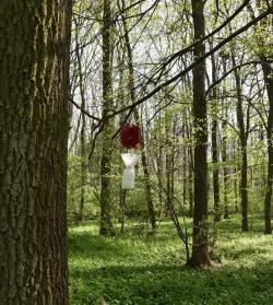 Pułapka&#x20;Rebell&#x20;rosso&#x20;z&#x20;pojemnikiem&#x20;do&#x20;odłowu&#x20;owadów&#x2e;